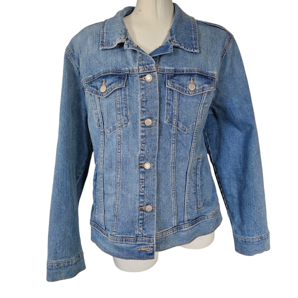 Hand Painted Steampunk Terrier Dog On A Denim Jean Jacket - Picture 3 of 5